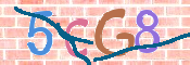 CAPTCHA (Şahıs Denetim Kodu) Resmi