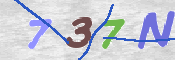 CAPTCHA (Şahıs Denetim Kodu) Resmi