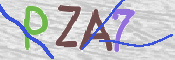 CAPTCHA (Şahıs Denetim Kodu) Resmi