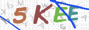 CAPTCHA (Şahıs Denetim Kodu) Resmi