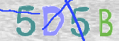 CAPTCHA (Şahıs Denetim Kodu) Resmi