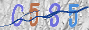 CAPTCHA (Şahıs Denetim Kodu) Resmi