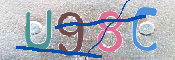 CAPTCHA (Şahıs Denetim Kodu) Resmi