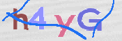 CAPTCHA (Şahıs Denetim Kodu) Resmi
