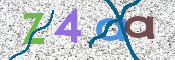 CAPTCHA (Şahıs Denetim Kodu) Resmi