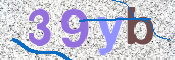 CAPTCHA (Şahıs Denetim Kodu) Resmi