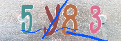 CAPTCHA (Şahıs Denetim Kodu) Resmi