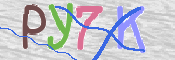 CAPTCHA (Şahıs Denetim Kodu) Resmi