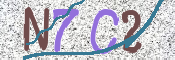 CAPTCHA (Şahıs Denetim Kodu) Resmi