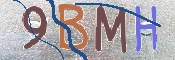 CAPTCHA (Şahıs Denetim Kodu) Resmi