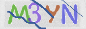 CAPTCHA (Şahıs Denetim Kodu) Resmi