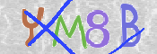 CAPTCHA (Şahıs Denetim Kodu) Resmi