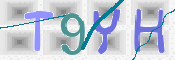 CAPTCHA (Şahıs Denetim Kodu) Resmi