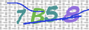 CAPTCHA (Şahıs Denetim Kodu) Resmi
