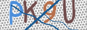 CAPTCHA (Şahıs Denetim Kodu) Resmi