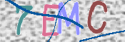 CAPTCHA (Şahıs Denetim Kodu) Resmi