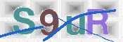 CAPTCHA (Şahıs Denetim Kodu) Resmi