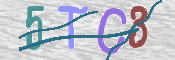 CAPTCHA (Şahıs Denetim Kodu) Resmi