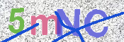 CAPTCHA (Şahıs Denetim Kodu) Resmi