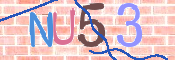 CAPTCHA (Şahıs Denetim Kodu) Resmi
