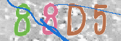 CAPTCHA (Şahıs Denetim Kodu) Resmi