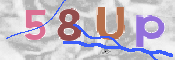 CAPTCHA (Şahıs Denetim Kodu) Resmi