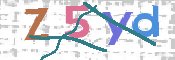 CAPTCHA (Şahıs Denetim Kodu) Resmi