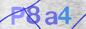 CAPTCHA (Şahıs Denetim Kodu) Resmi