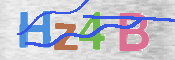 CAPTCHA (Şahıs Denetim Kodu) Resmi