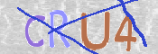 CAPTCHA (Şahıs Denetim Kodu) Resmi