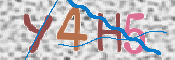 CAPTCHA (Şahıs Denetim Kodu) Resmi