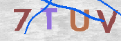 CAPTCHA (Şahıs Denetim Kodu) Resmi