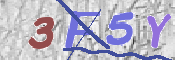 CAPTCHA (Şahıs Denetim Kodu) Resmi