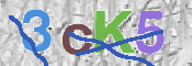 CAPTCHA (Şahıs Denetim Kodu) Resmi