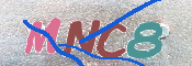 CAPTCHA (Şahıs Denetim Kodu) Resmi