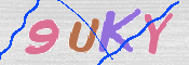 CAPTCHA (Şahıs Denetim Kodu) Resmi