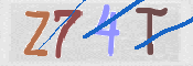 CAPTCHA (Şahıs Denetim Kodu) Resmi