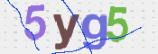 CAPTCHA (Şahıs Denetim Kodu) Resmi