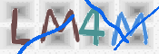 CAPTCHA (Şahıs Denetim Kodu) Resmi