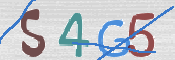 CAPTCHA (Şahıs Denetim Kodu) Resmi