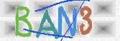 CAPTCHA (Şahıs Denetim Kodu) Resmi