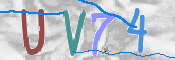 CAPTCHA (Şahıs Denetim Kodu) Resmi