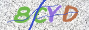 CAPTCHA (Şahıs Denetim Kodu) Resmi