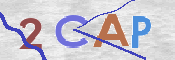 CAPTCHA (Şahıs Denetim Kodu) Resmi