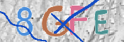 CAPTCHA (Şahıs Denetim Kodu) Resmi