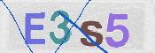 CAPTCHA (Şahıs Denetim Kodu) Resmi