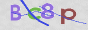 CAPTCHA (Şahıs Denetim Kodu) Resmi