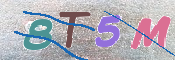 CAPTCHA (Şahıs Denetim Kodu) Resmi