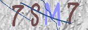 CAPTCHA (Şahıs Denetim Kodu) Resmi