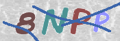 CAPTCHA (Şahıs Denetim Kodu) Resmi